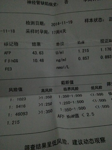 journal_insert_pic_180747150
