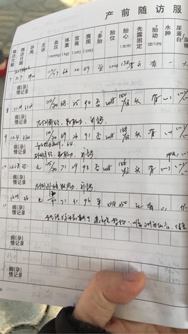 journal_insert_pic_181981316