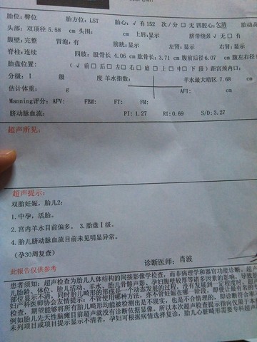 journal_insert_pic_182773469