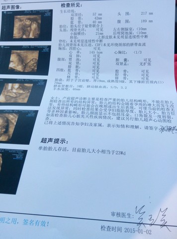 journal_insert_pic_184648102