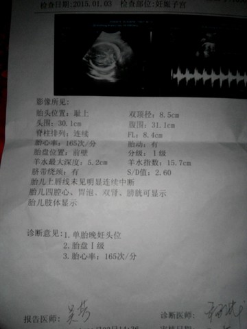 journal_insert_pic_185119564