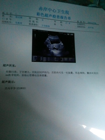journal_insert_pic_185939324