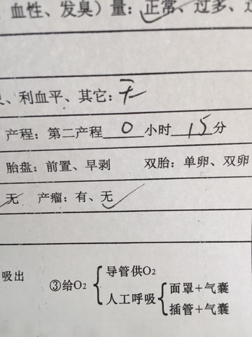 journal_insert_pic_186024586