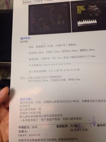 journal_insert_pic_186077348