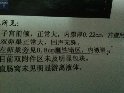 journal_insert_pic_185806140