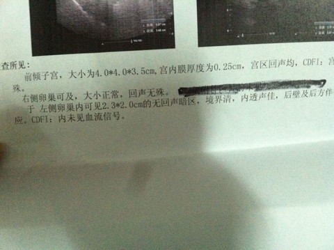 journal_insert_pic_185806274