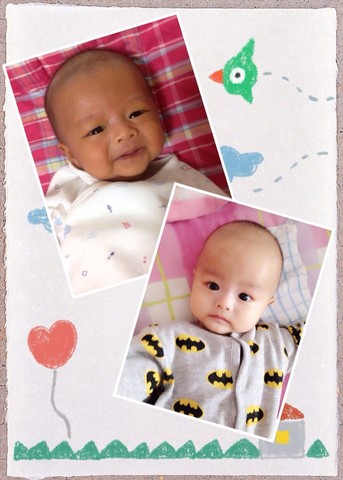 journal_insert_pic_188660105