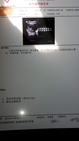journal_insert_pic_191227679