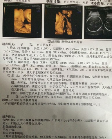 journal_insert_pic_193629734