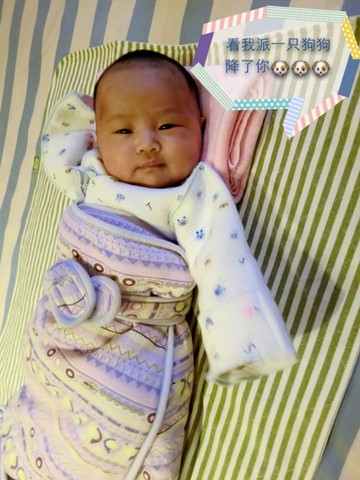 journal_insert_pic_193796383