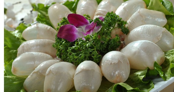 圈子 龙岗妇幼保健院 真的好想吃啊材料五花咸肉250g,草鱼鳔500g,黑