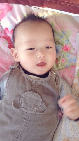 journal_insert_pic_198127913