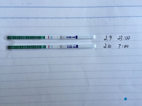 journal_insert_pic_198496945