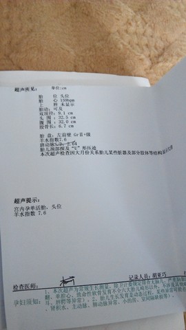 journal_insert_pic_200495898