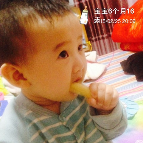 journal_insert_pic_201605744