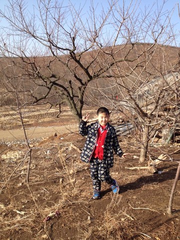 journal_insert_pic_202405745