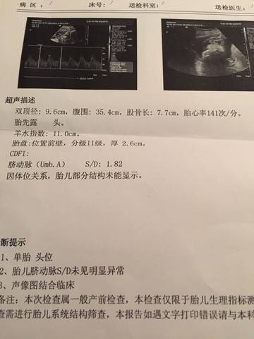 journal_insert_pic_203314912