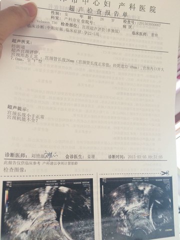 journal_insert_pic_204681221