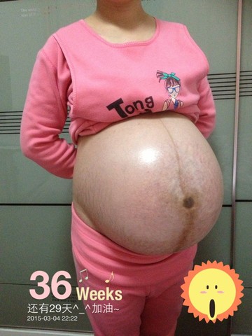 journal_insert_pic_204678597