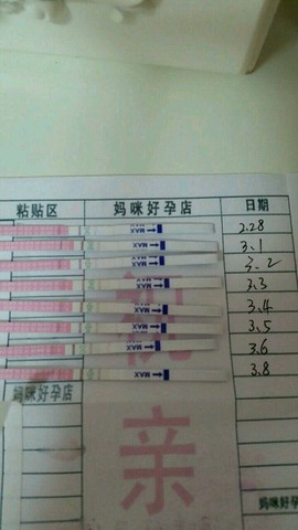 journal_insert_pic_206695020