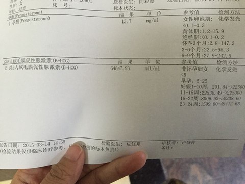 journal_insert_pic_207678041