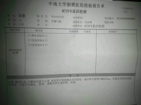 journal_insert_pic_208543335