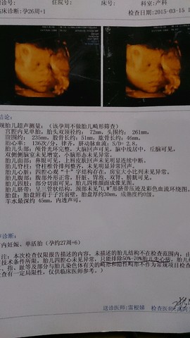 journal_insert_pic_208244309