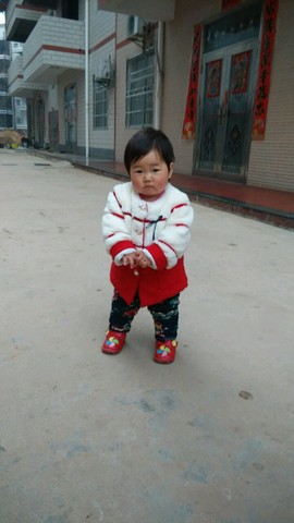 journal_insert_pic_208740101