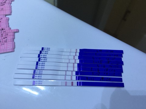 journal_insert_pic_209068821