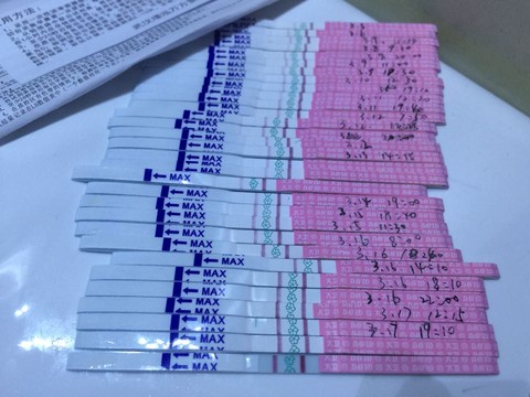 journal_insert_pic_209068828