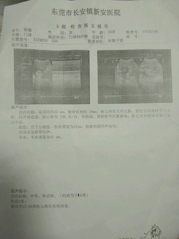 journal_insert_pic_210267357