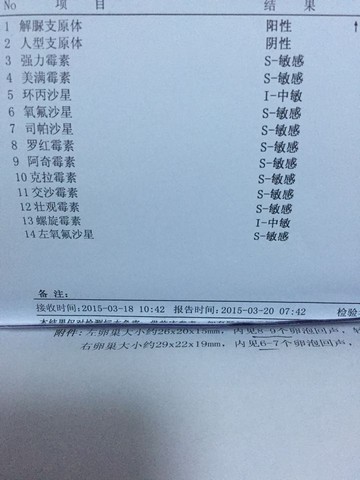 journal_insert_pic_211201778