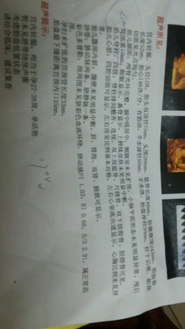 journal_insert_pic_211785890