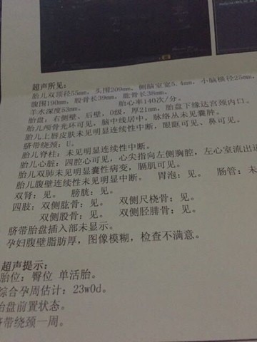 journal_insert_pic_212203005