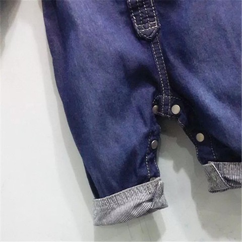 journal_insert_pic_214794470