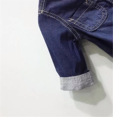 journal_insert_pic_214794452
