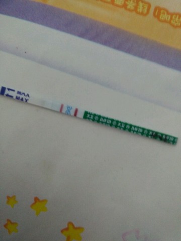 journal_insert_pic_215079543