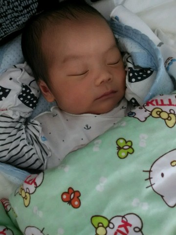 journal_insert_pic_215477943
