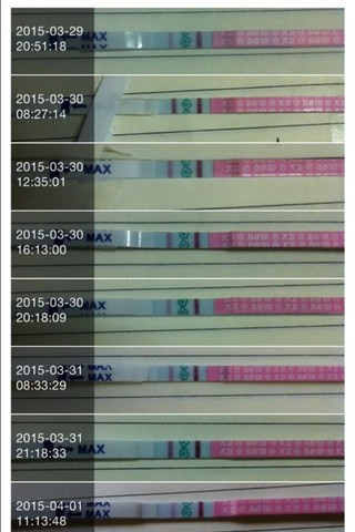 journal_insert_pic_215210378