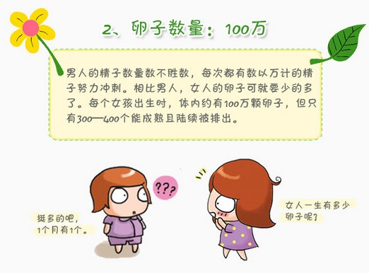 journal_insert_pic_215281523