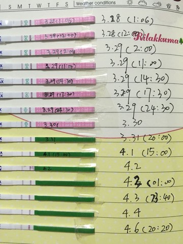 journal_insert_pic_216968424