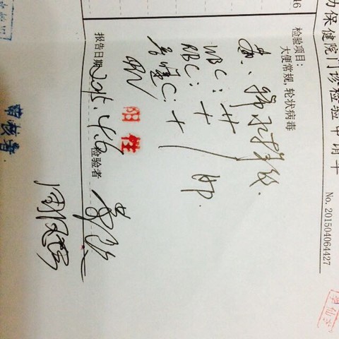 journal_insert_pic_217071849
