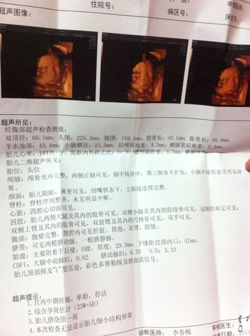 journal_insert_pic_217653955