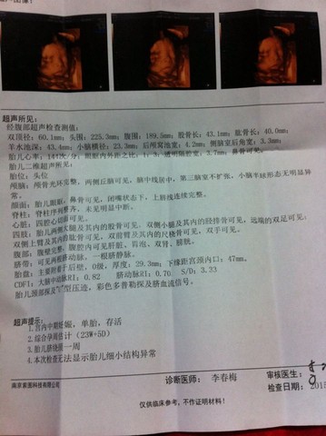 journal_insert_pic_217653970
