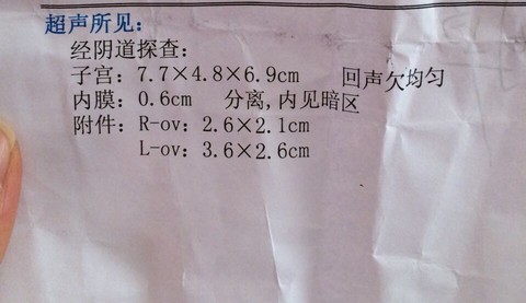 journal_insert_pic_217784735