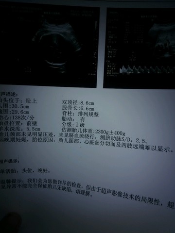 journal_insert_pic_218682817