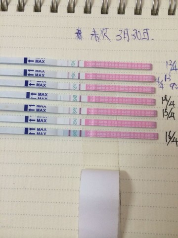 journal_insert_pic_220573579