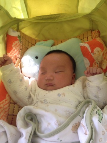 journal_insert_pic_220704985