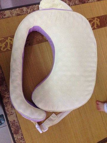 journal_insert_pic_222357504