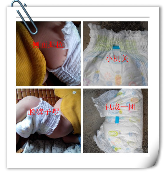 journal_insert_pic_222531199